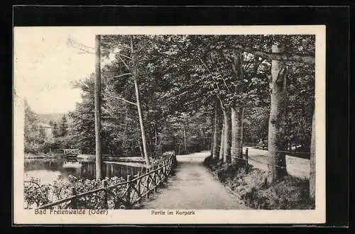 AK Bad Freienwalde /Oder, Partie im Kurpark am Wasser
