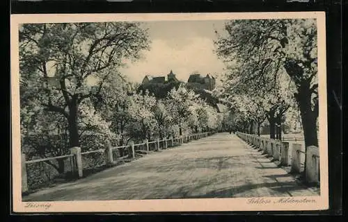 AK Leisnig, Schloss Mildenstein