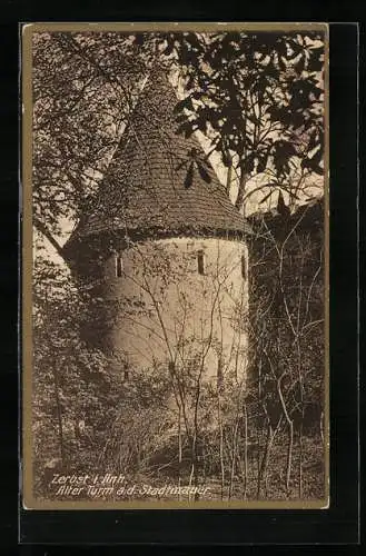 AK Zerbst i. Anh., Alter Turm a. d. Stadtmauer