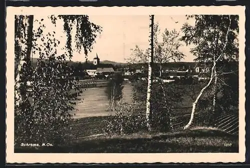 AK Schrems /N.-Oe., Ortsansicht durch ein paar Birken
