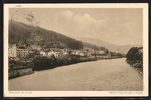 AK Bruck a. Mur, Blick auf das rechte Mur-Ufer
