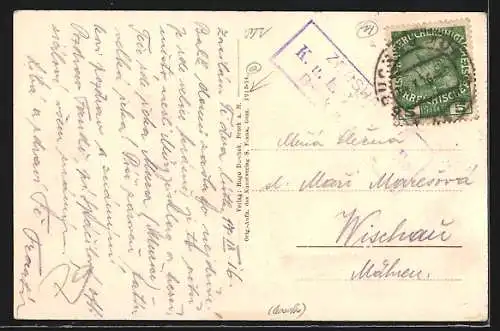 AK Bruck a. Mur, Blick auf das rechte Mur-Ufer