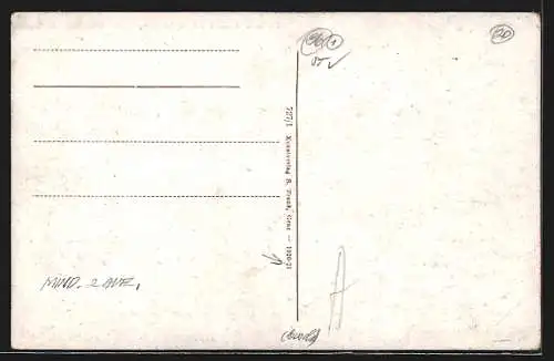 AK Bruck a. Mur, Partie a. d. Mürz mit Schlossberg