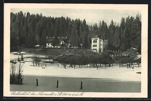 AK Neumarkt, das Pichlschloss im Winter
