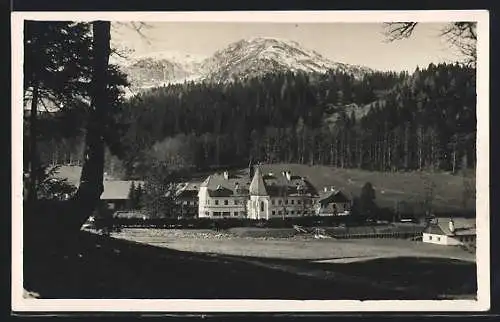 AK Mariazell, Graf Meransches Jagdschloss Brandhof