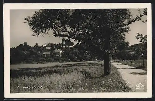 AK Walding, Ortsansicht von der Landstrasse aus