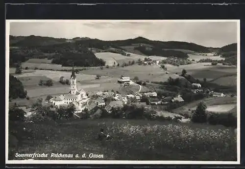 AK Reichenau a. d. Gusen, Gesamtansicht aus der Vogelschau