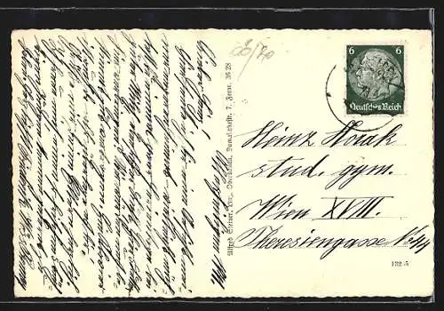 AK Neufelden, Panoramablick mit Strassenpartie