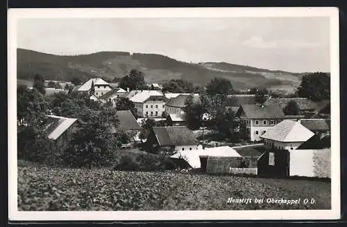 AK Neustift bei Oberkappel, Teilansicht mit Blick in die Berge