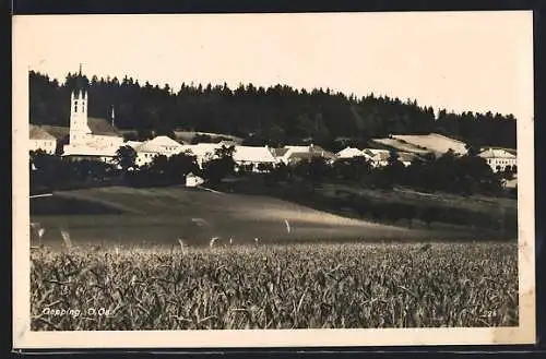 AK Oepping, Ortspanorama, von einem Feld aus gesehen