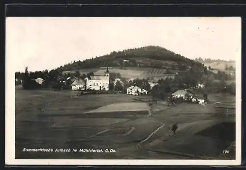 AK Julbach /Mühlviertel, Gesamtansicht mit Feldern und Berg
