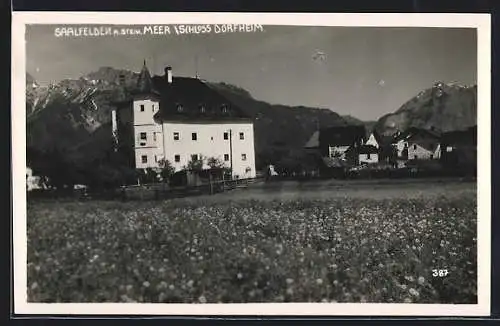 AK Saalfelden a. Stein. Meer, Schloss Dorfheim mit Bergpanorama