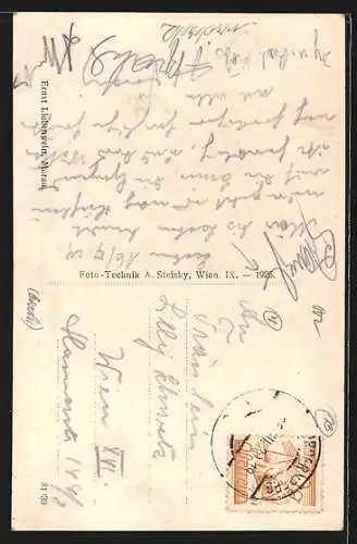 AK Murau, Ortspartie mit Kirche und Murbrücke