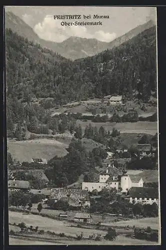 AK Feistritz bei Murau, Ortsansicht mit Tal- und Bergblick