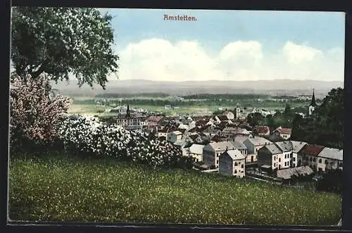 AK Amstetten, Teilansicht bei Baumblüte