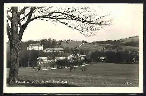 AK Ferschnitz /N.-Oe., Schloss Senftenegg