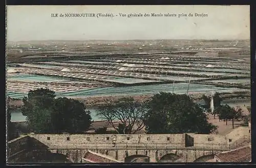 AK Ile de Noirmoutier, Vue générale des Marais salants prise du Donjon