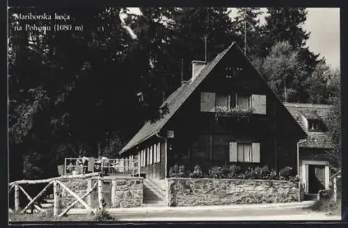 AK Pohoriu, Mariborska koca