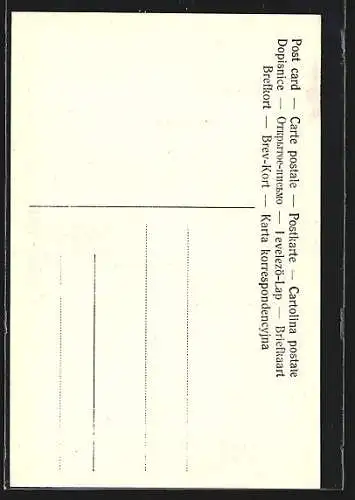 AK Hermann Wislicenus mit Farbpalette