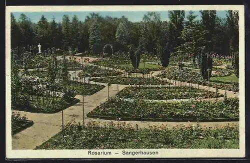 AK Sangerhausen, Rosarium