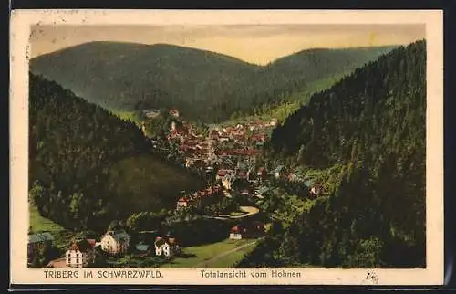 AK Triberg, Totalansicht vom Hohnen