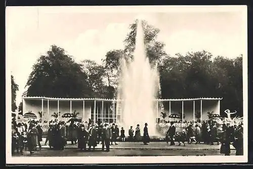 AK Dresden, Internationale Gartenbau-Ausstellung 1926, Rosenhof mit Leuchtspringbrunnen