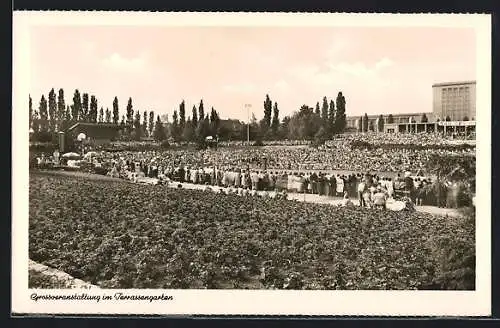 AK Berlin, Messe, Grossveranstaltung im Terrassengarten