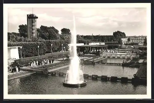 AK Essen, Grugapark, Wasserterrassen und Radioturm