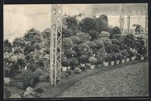AK Gand, Exposition 1913, Floralies Gantoises