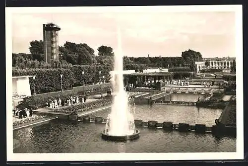 AK Essen, Grugapark, Wasserterrassen und Radioturm