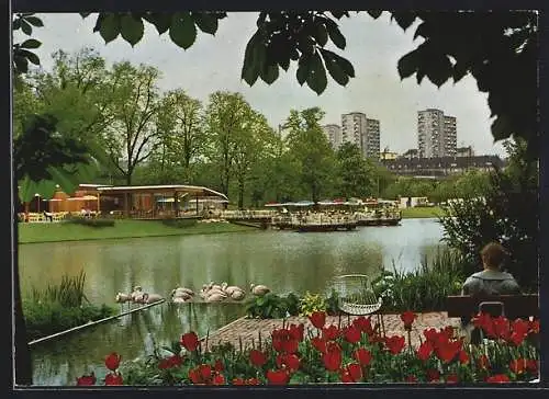 AK Stuttgart, Bundes Gartenschau 1961, Blick zum Café-Restaurant am See, mit Flamingos
