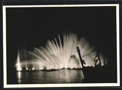AK Internationale Gartenbau Ausstellung 1953 in Hamburg, Aus dem Wasserlichtkonzert