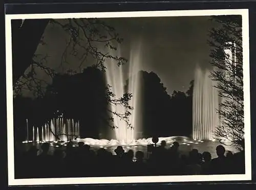 AK Hamburg, Planten un Blomen 1954, Ausstellungspark