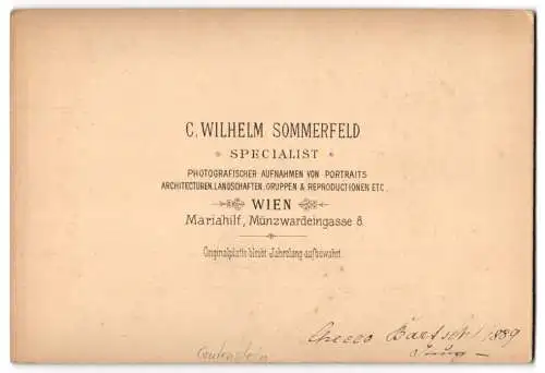 Fotografie C. Wilhelm Sommerfeld, Wien, Münzwardeingasse 8, Ansicht Gutenstein, Blick ins Klosterthal, Schneeberg, 1889