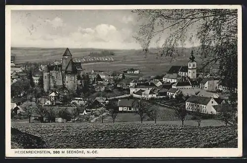 AK Heidenreichstein, Ortsansicht mit Kirche aus der Vogelschau