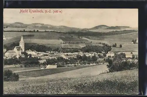 AK Markt Krumbach /N.-Ö., Teilansicht mit Kirche