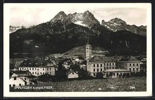 AK Saalfelden a. Stein. Meer, Ortsansicht mit Bergblick