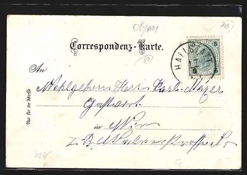 Lithographie Hallstatt, Wasserfall, Dampfer passiert den Ort, Gesamtansicht