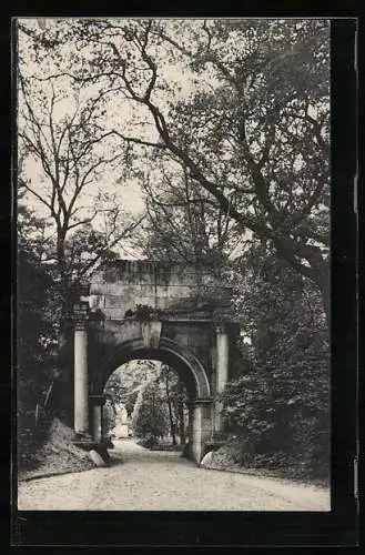 AK Dessau, Georgium, Der weisse Bogen