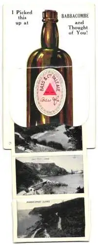 Leporello-AK Babbacombe, Views behind the bottle, Babbacombe Bay from Petitor Downs, Anstey`s Cove, Redgate Beach