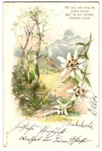 Glitzer-Perl-AK Weisse Blumen hängen vor einem Bergmotiv