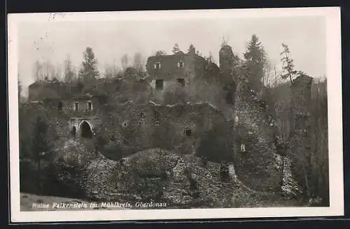 AK Hofkirchen im Mühlkreis, Blick auf die Burgruine Falkenstein