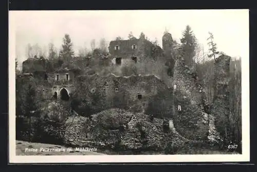 AK Hofkirchen im Mühlkreis, Partie an der Burgruine Falkenstein