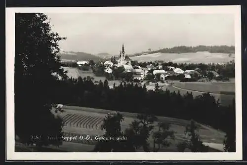 AK Niederkappel /O.-Ö., Gesamtansicht aus der Ferne mit Kirche