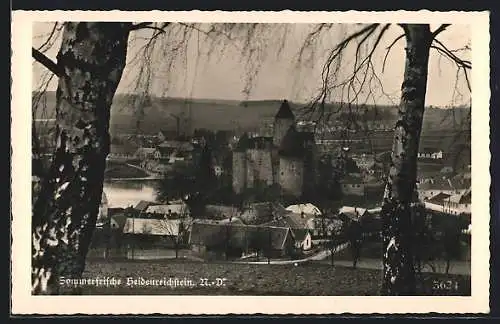 AK Heidenreichstein /N.-D., Blick auf die Burg