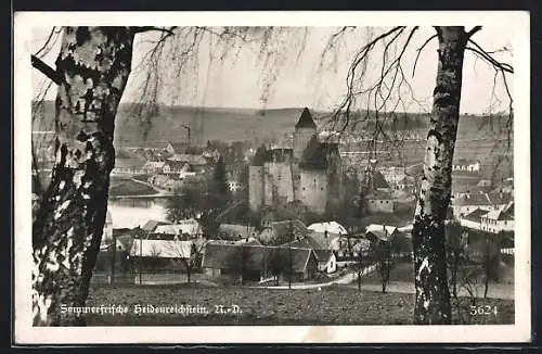 AK Heidenreichstein /N.-D., Die Burg zwischen Birken hindurch