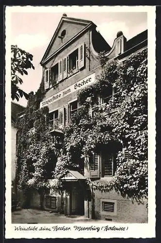 AK Meersburg /Bodensee, Gaststätte Weinstube zum Becher K. Benz