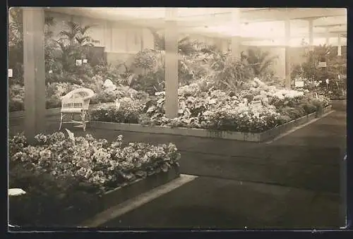 AK Düsseldorf, Grosse Allgemeine Gartenbau- und Bindekunst-Ausstellung 1925, Ausstellungshalle mit Beeten, Innenansicht