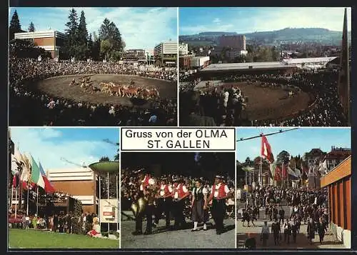AK St. Gallen, Olma Schweizer Messe für Land- und Milchwirtschaft 1970, Ausstellungshalle, Pferde in der Arena, Treppe