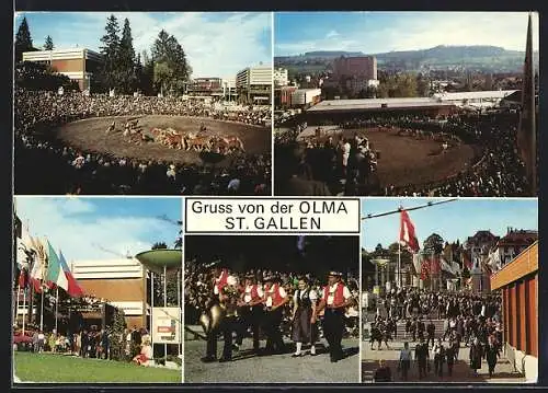 AK St. Gallen, Olma Schweizer Messe für Land- und Milchwirtschaft 1969, Ausstellungshalle, Pferde in der Arena, Treppe